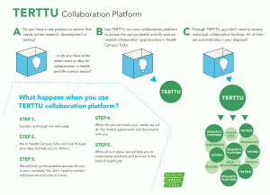 Picture of Terttu Process step by step